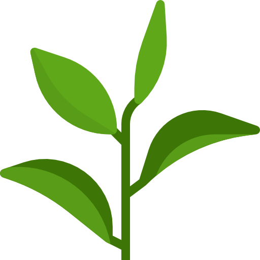 Tea Leaves